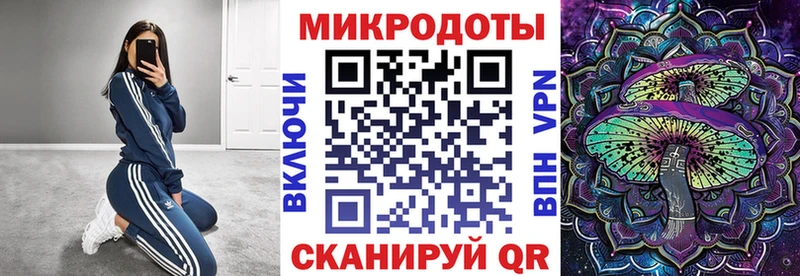 наркота  Обоянь  Галлюциногенные грибы Psilocybe 